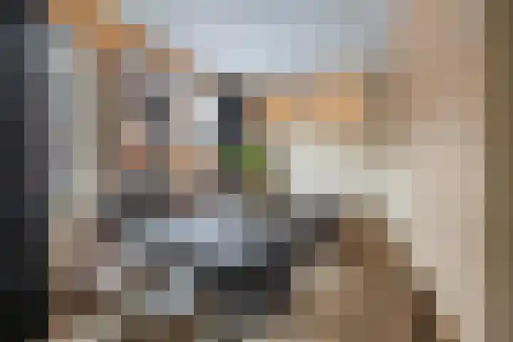 Alholm 58 Hoofddorp thumbnail 8