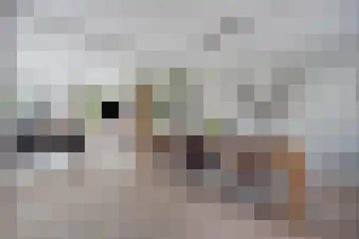 Alholm 64 Hoofddorp thumbnail 20