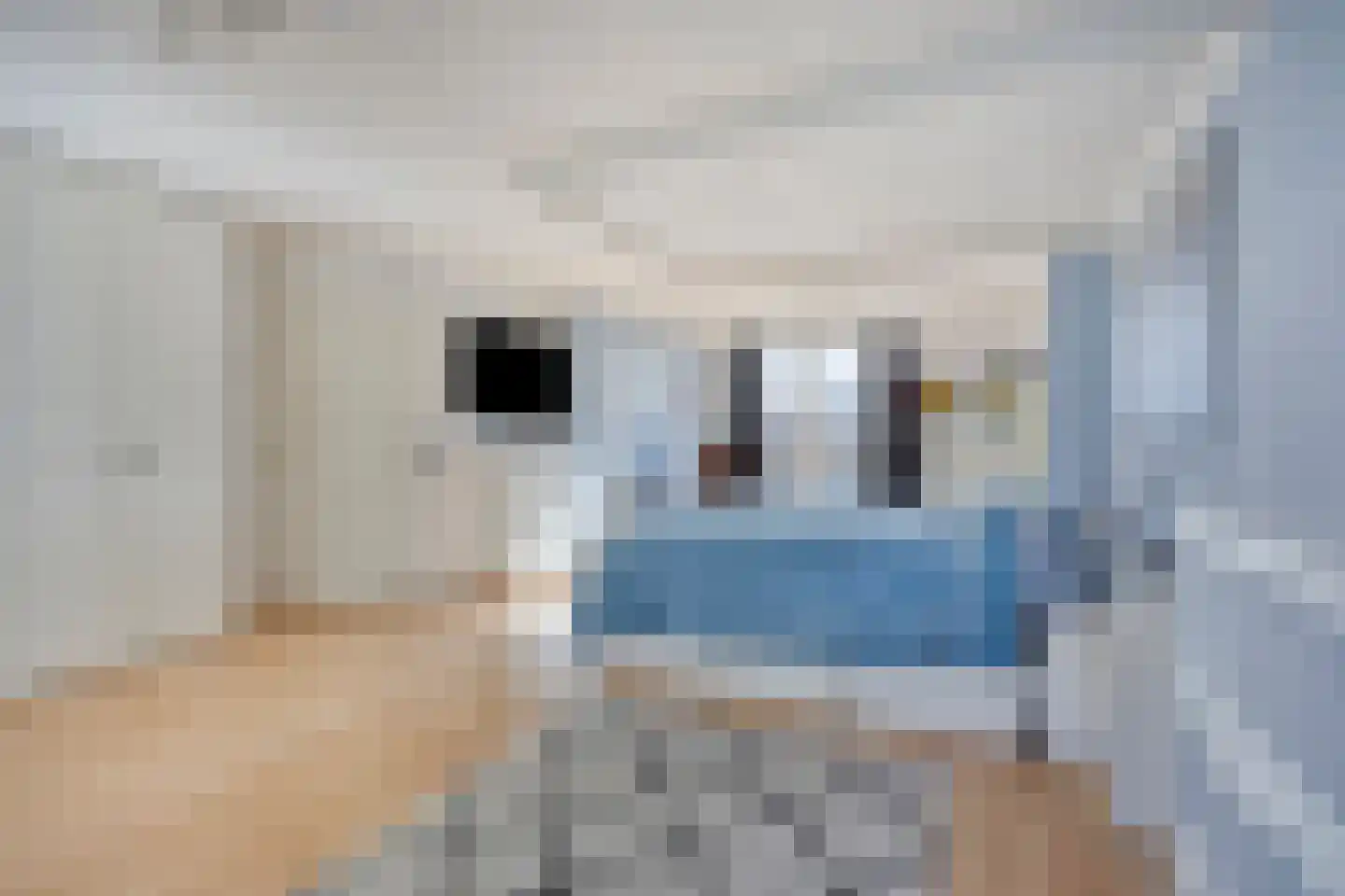 Alholm 64 Hoofddorp thumbnail 23