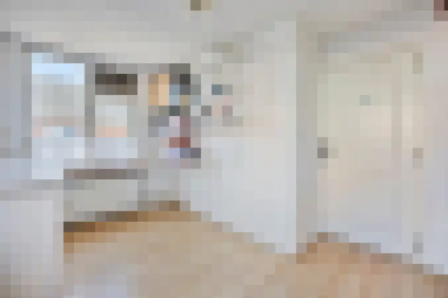 Alholm 64 Hoofddorp thumbnail 31