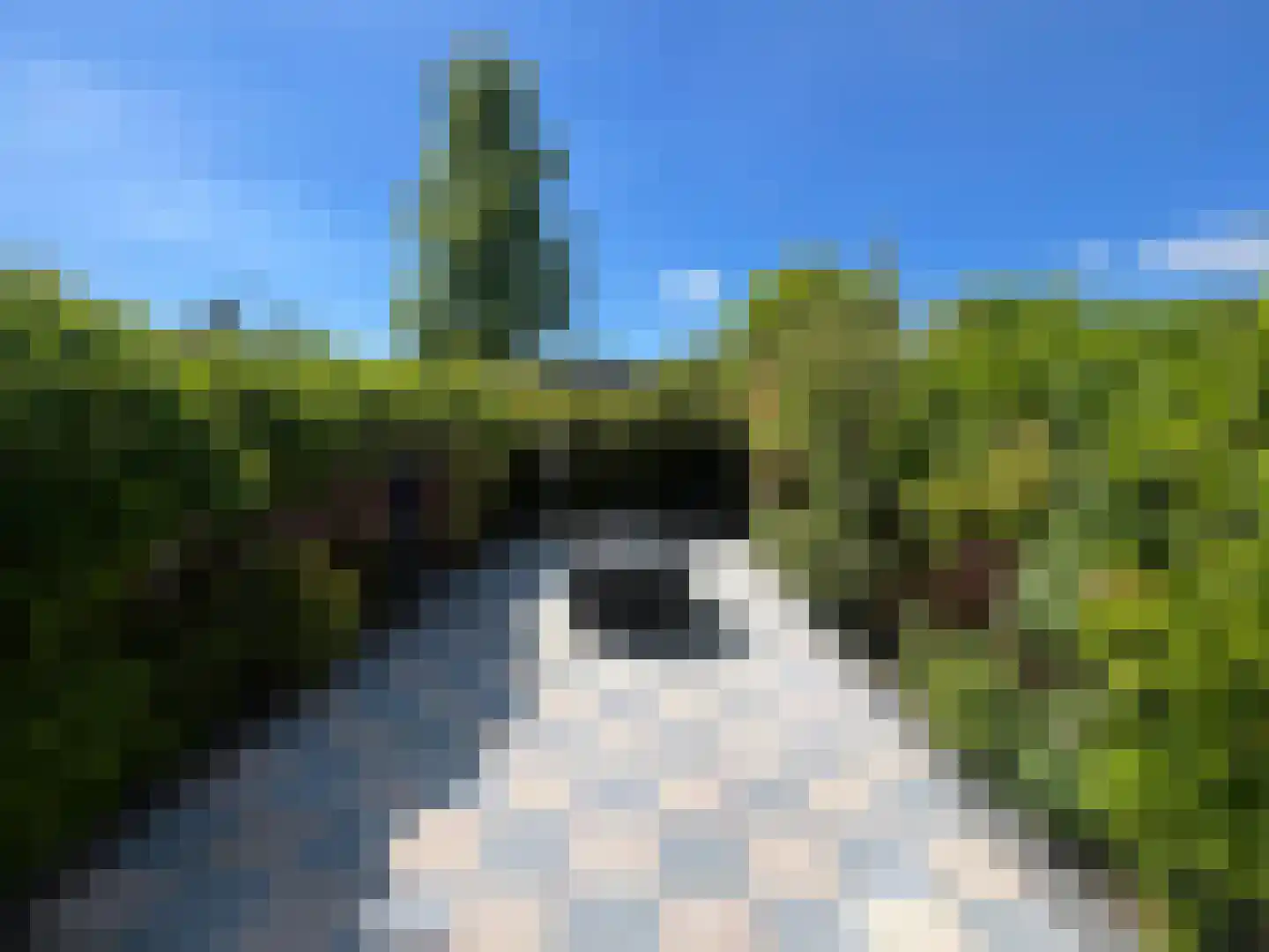 Alholm 64 Hoofddorp thumbnail 44