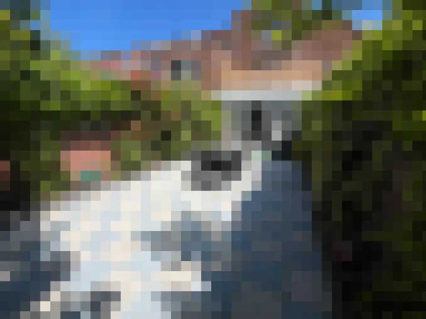 Alholm 64 Hoofddorp thumbnail 45