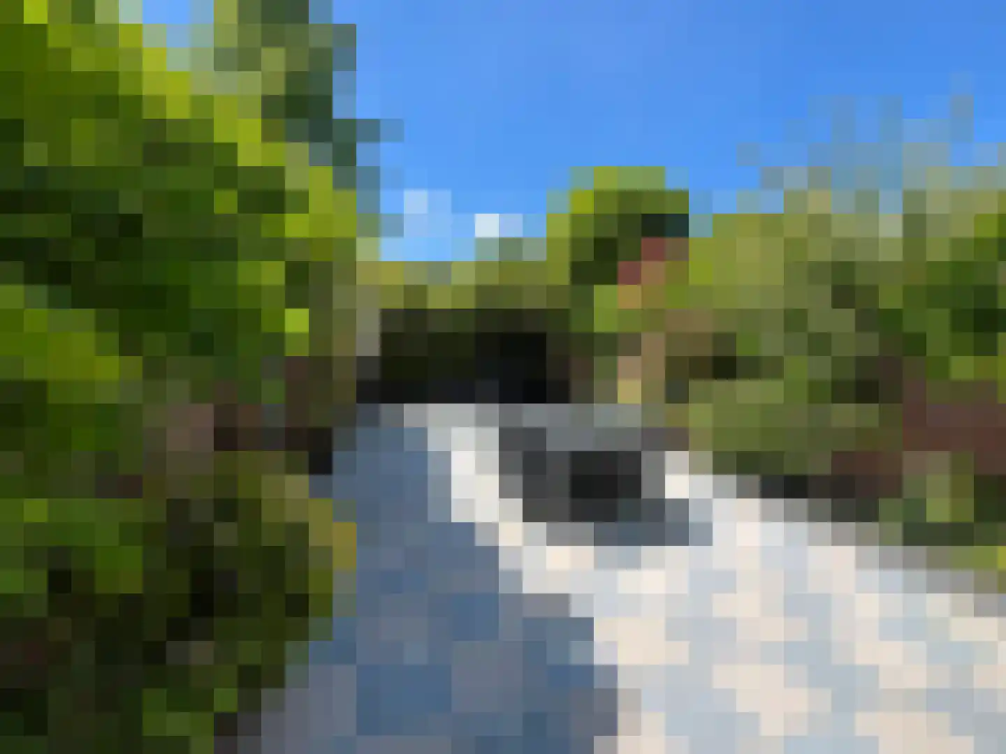 Alholm 64 Hoofddorp thumbnail 46