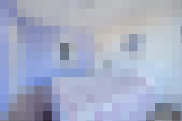 Alholm 64 Hoofddorp thumbnail 46