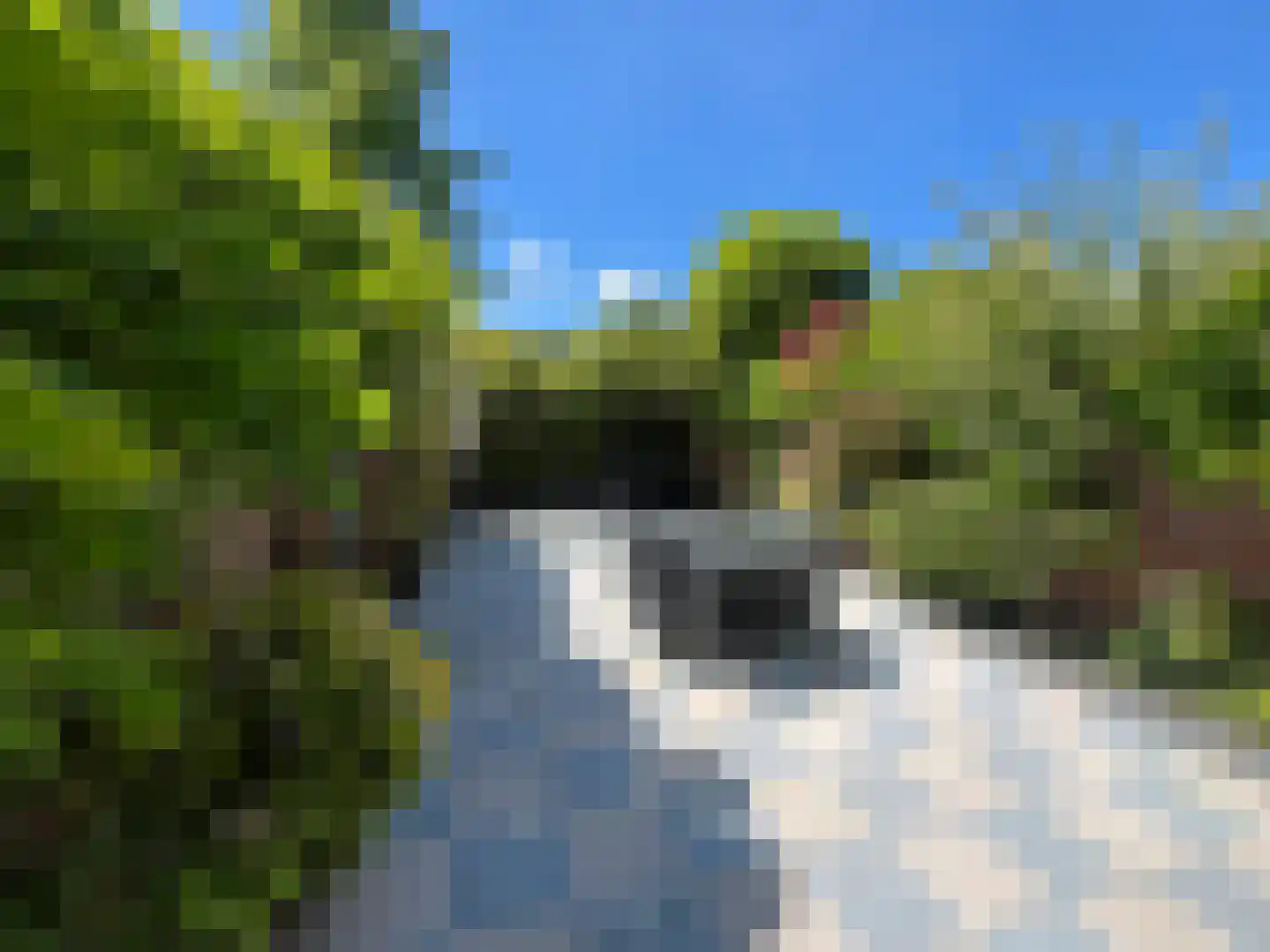 Alholm 64 Hoofddorp thumbnail 5