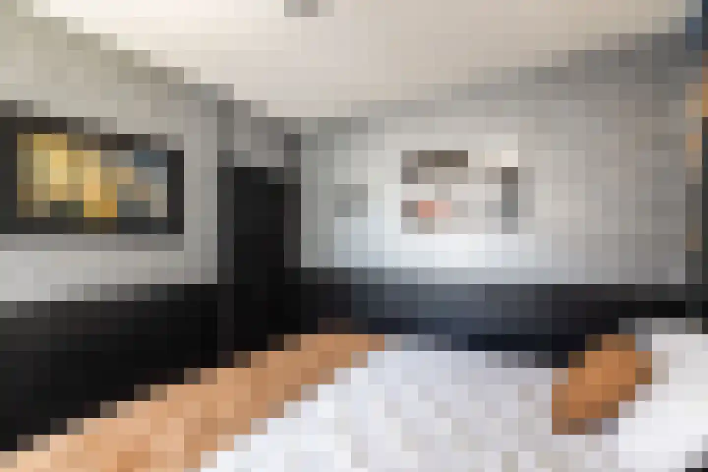 Alicantepad 25 Rotterdam thumbnail 37