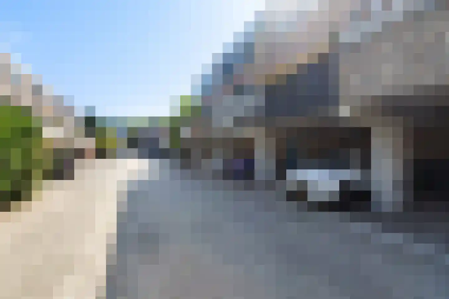 Alicantepad 25 Rotterdam thumbnail 42
