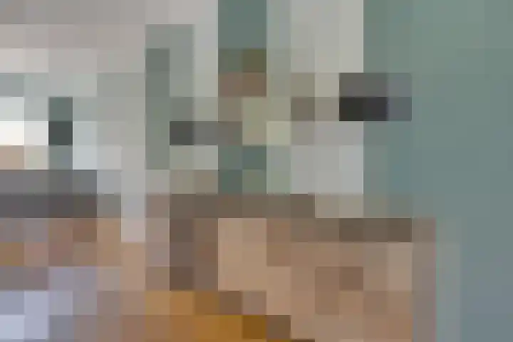 Alida Buitendijk erf 14 Heerhugowaard thumbnail 14