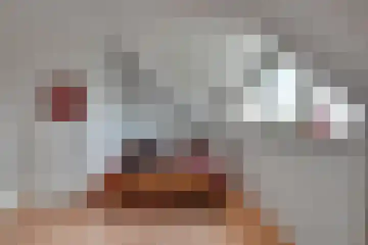Alida Buitendijk erf 14 Heerhugowaard thumbnail 36