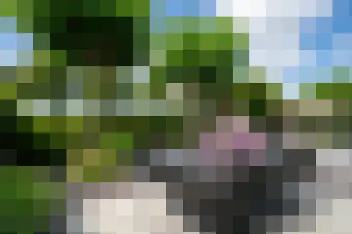 Alida Buitendijk erf 14 Heerhugowaard thumbnail 47