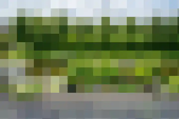 Alida Buitendijk erf 14 Heerhugowaard thumbnail 55