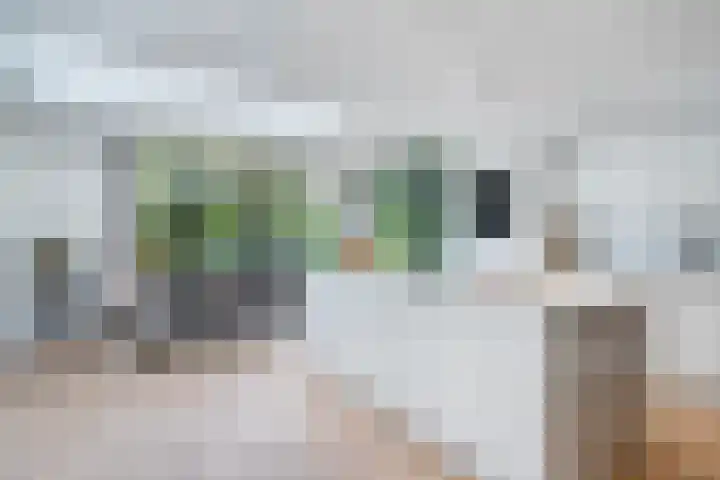Alida Buitendijk erf 6 Heerhugowaard thumbnail 10