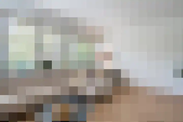 Alida Buitendijk erf 6 Heerhugowaard thumbnail 18