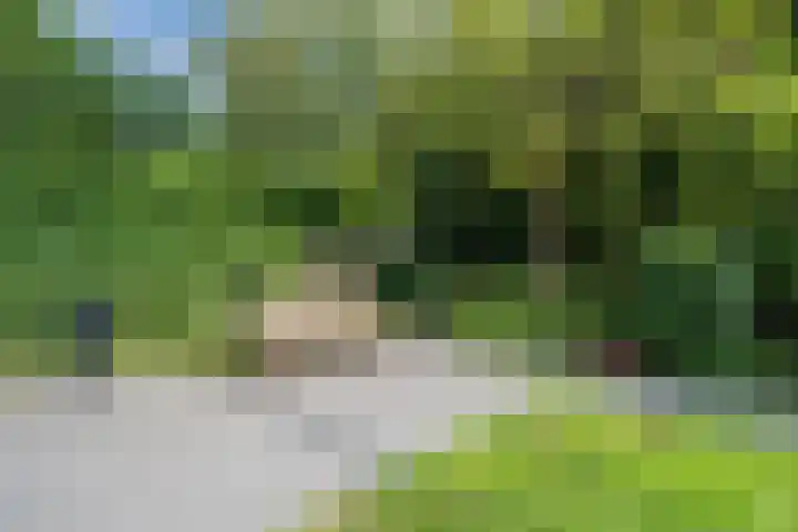 Alida Buitendijk erf 6 Heerhugowaard thumbnail 38