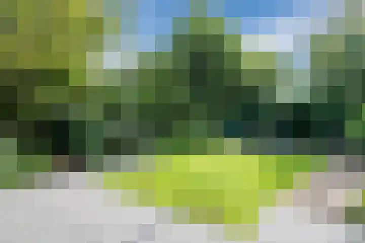 Alida Buitendijk erf 6 Heerhugowaard thumbnail 39