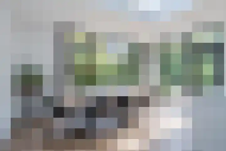 Alida Buitendijk erf 6 Heerhugowaard thumbnail 4