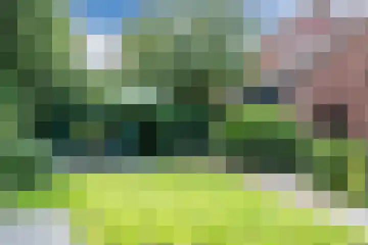 Alida Buitendijk erf 6 Heerhugowaard thumbnail 41