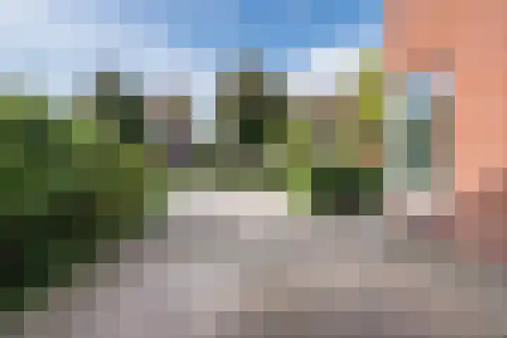 Alida Buitendijk erf 6 Heerhugowaard thumbnail 47
