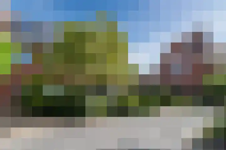 Alida Buitendijk erf 6 Heerhugowaard thumbnail 48