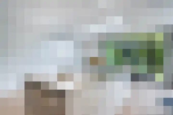 Alida Buitendijk erf 6 Heerhugowaard thumbnail 7