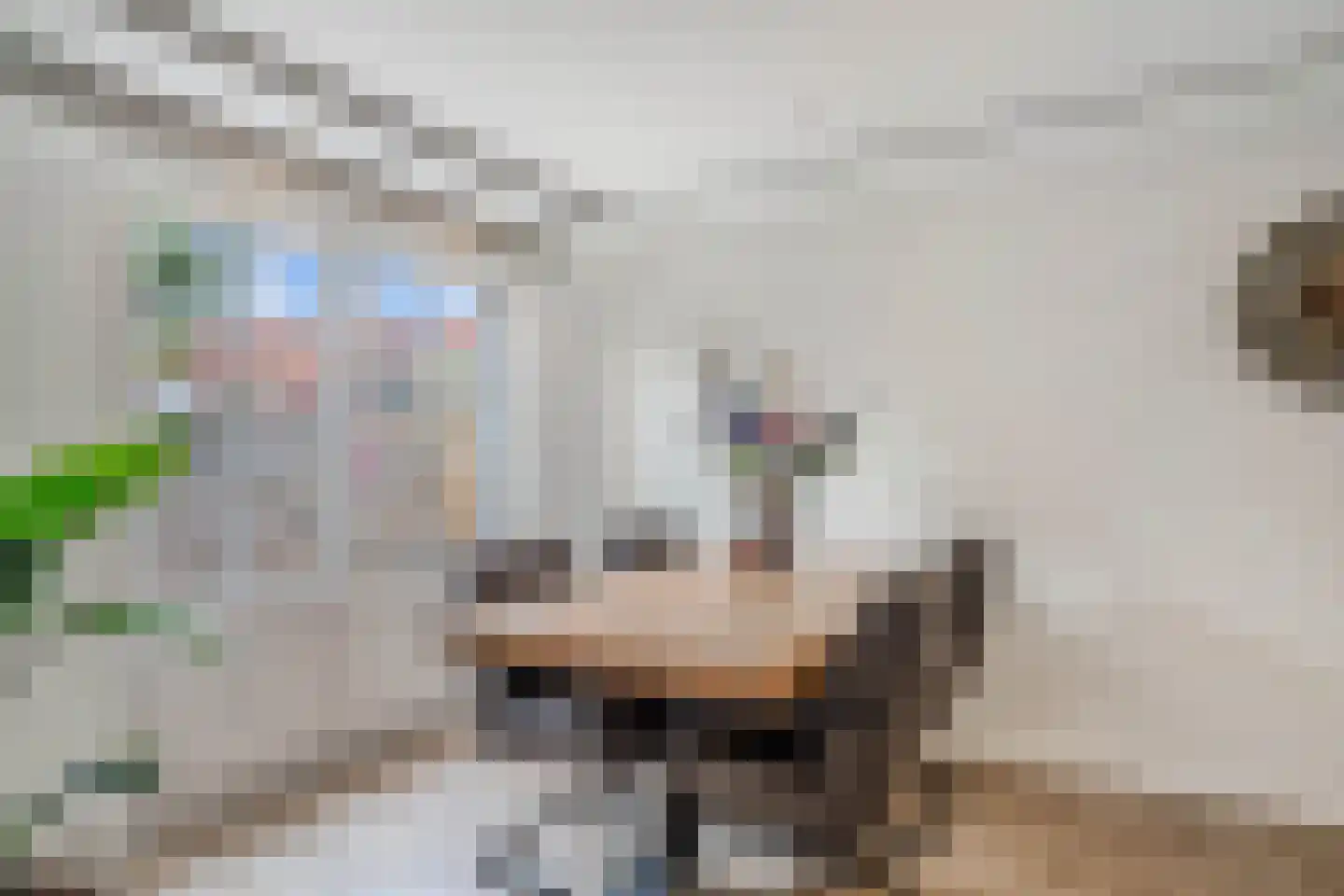 Alida de Jonglaan 10 Beverwijk thumbnail 20
