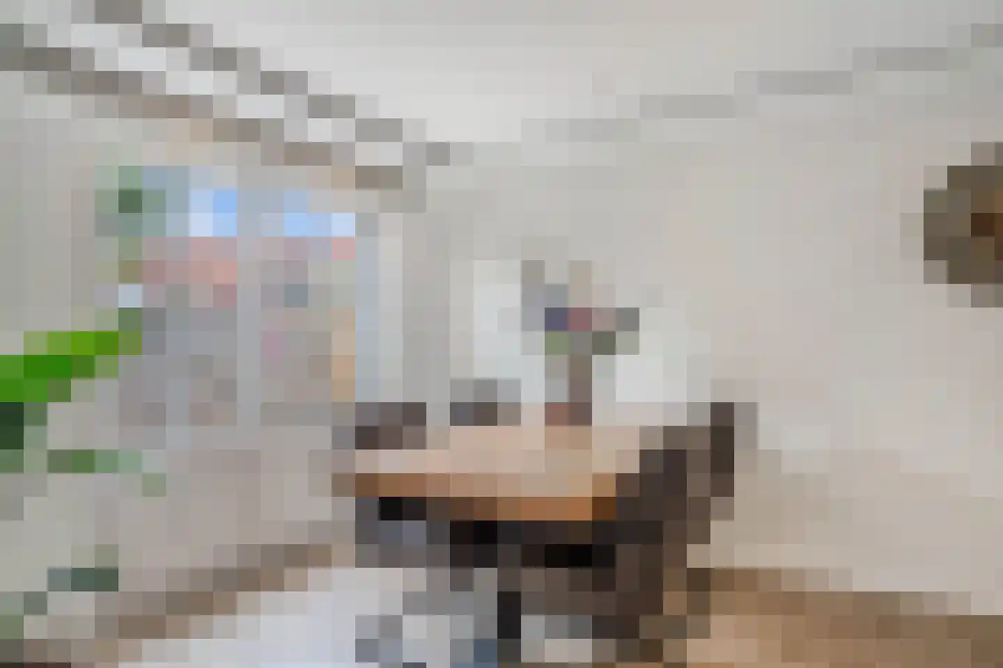 Alida de Jonglaan 10 Beverwijk thumbnail 21