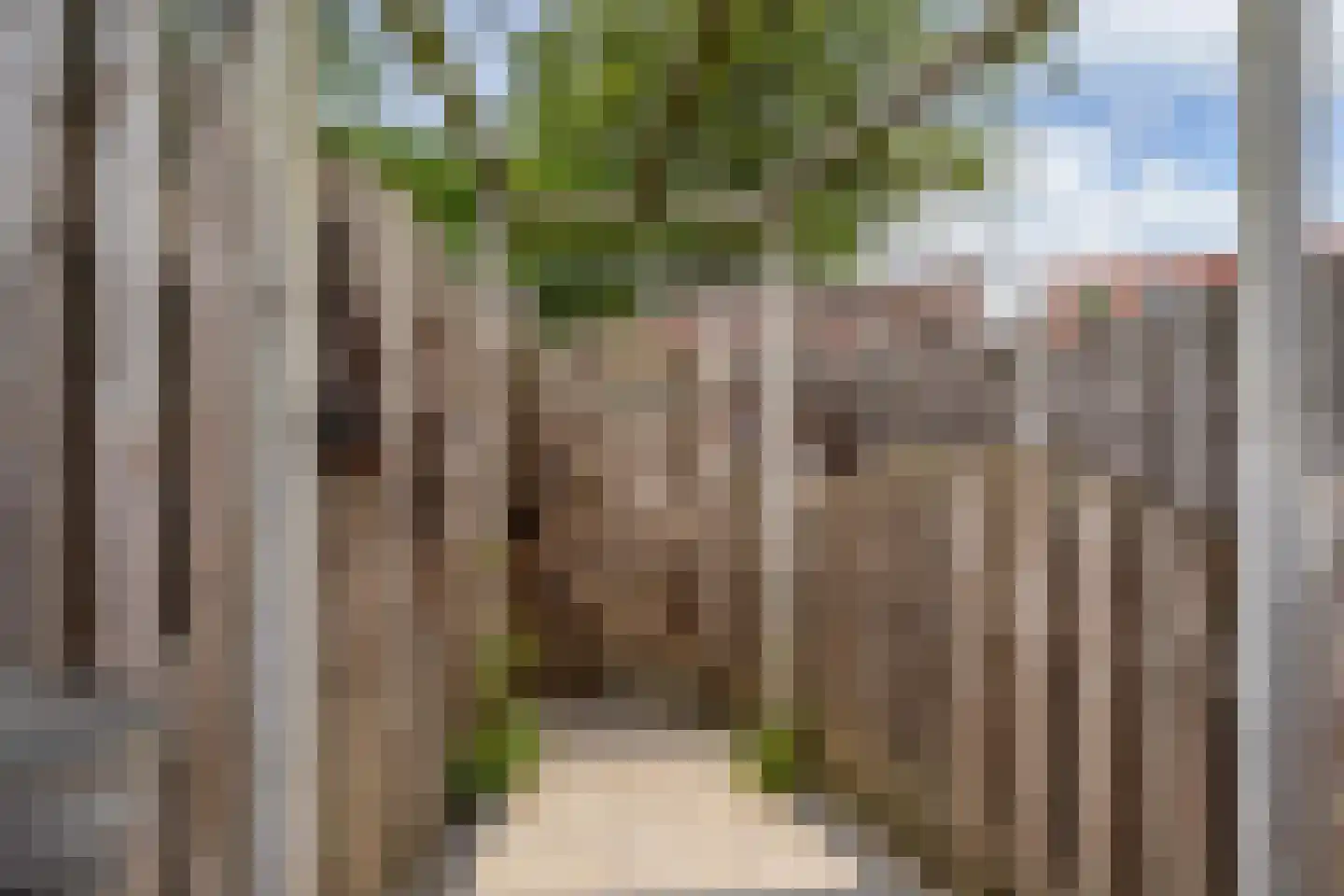 Alida de Jonglaan 10 Beverwijk thumbnail 42