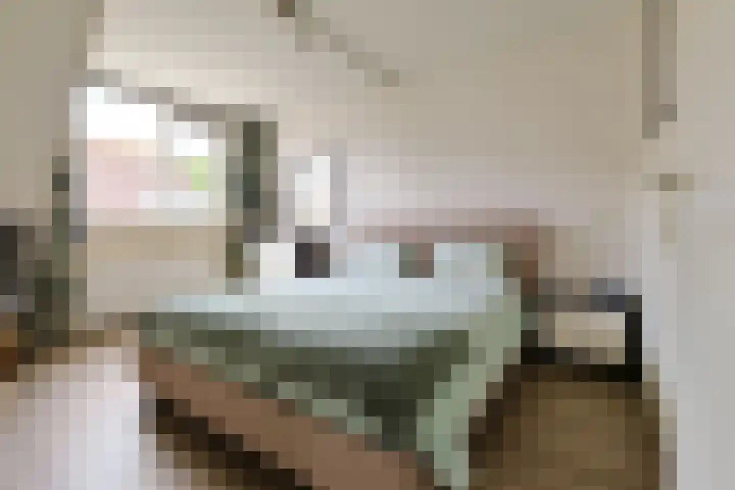 Alida de Jongstraat 15 Alphen aan den Rijn thumbnail 23
