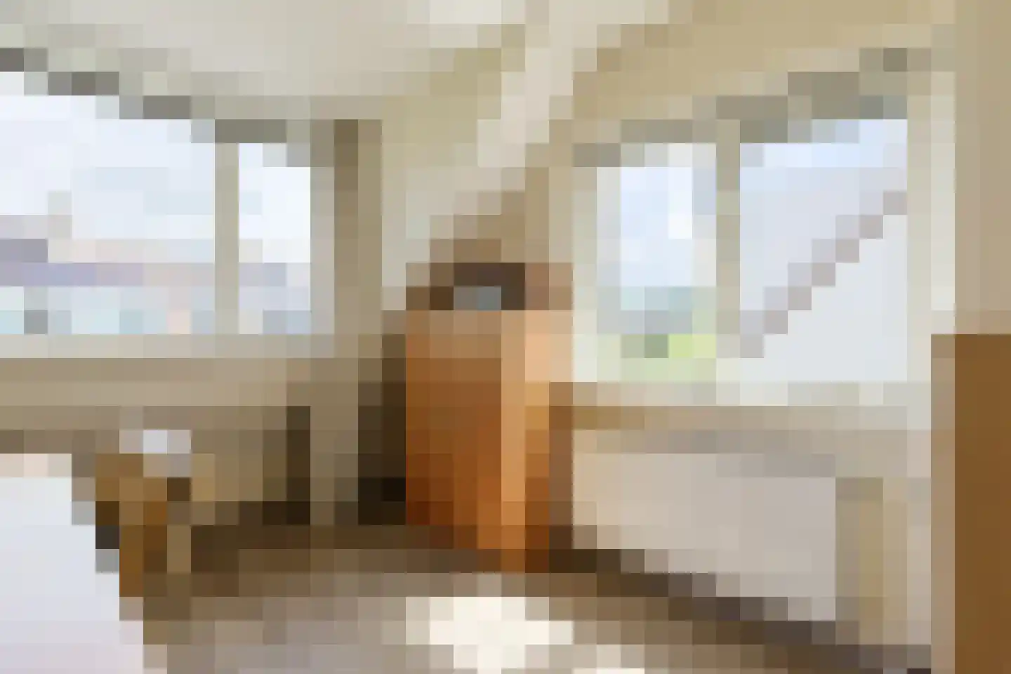 Alida de Jongstraat 15 Alphen aan den Rijn thumbnail 31