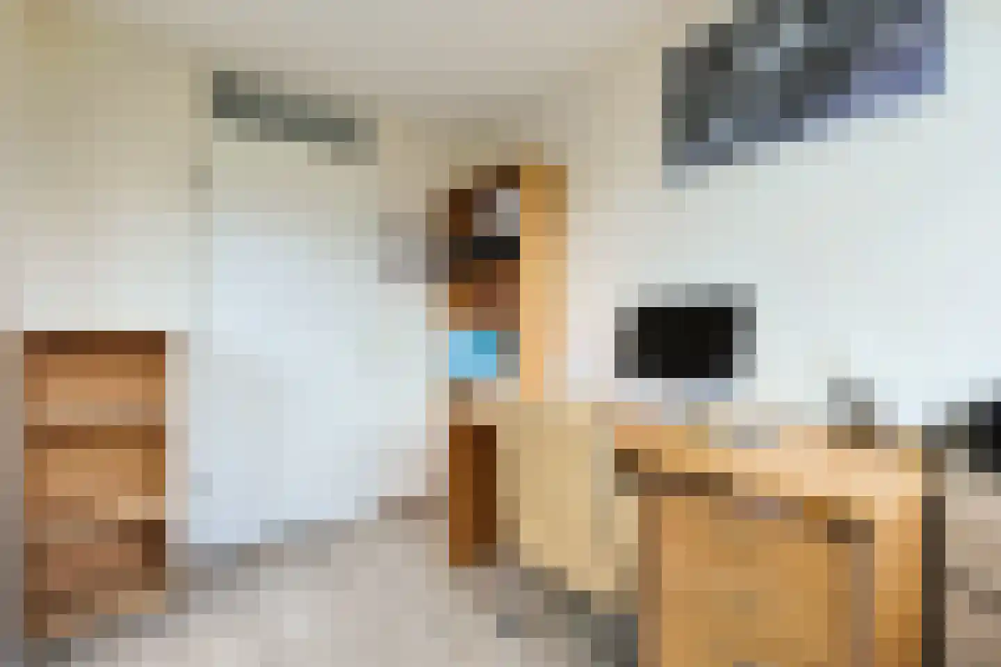 Alida de Jongstraat 15 Alphen aan den Rijn thumbnail 32