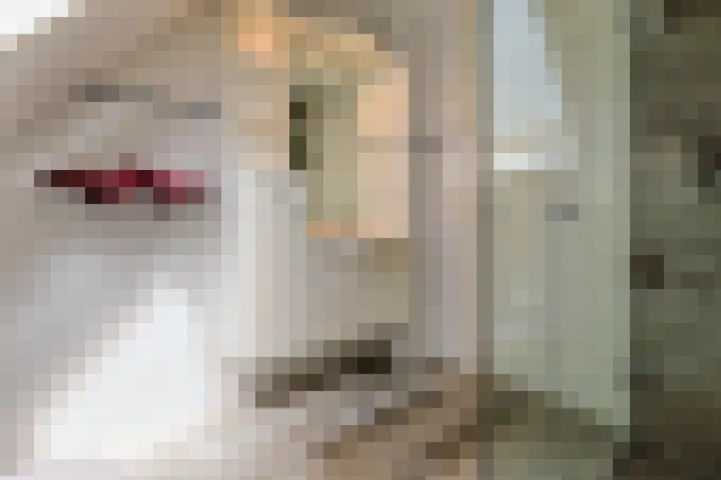 Alida de Jongstraat 15 Alphen aan den Rijn thumbnail 35