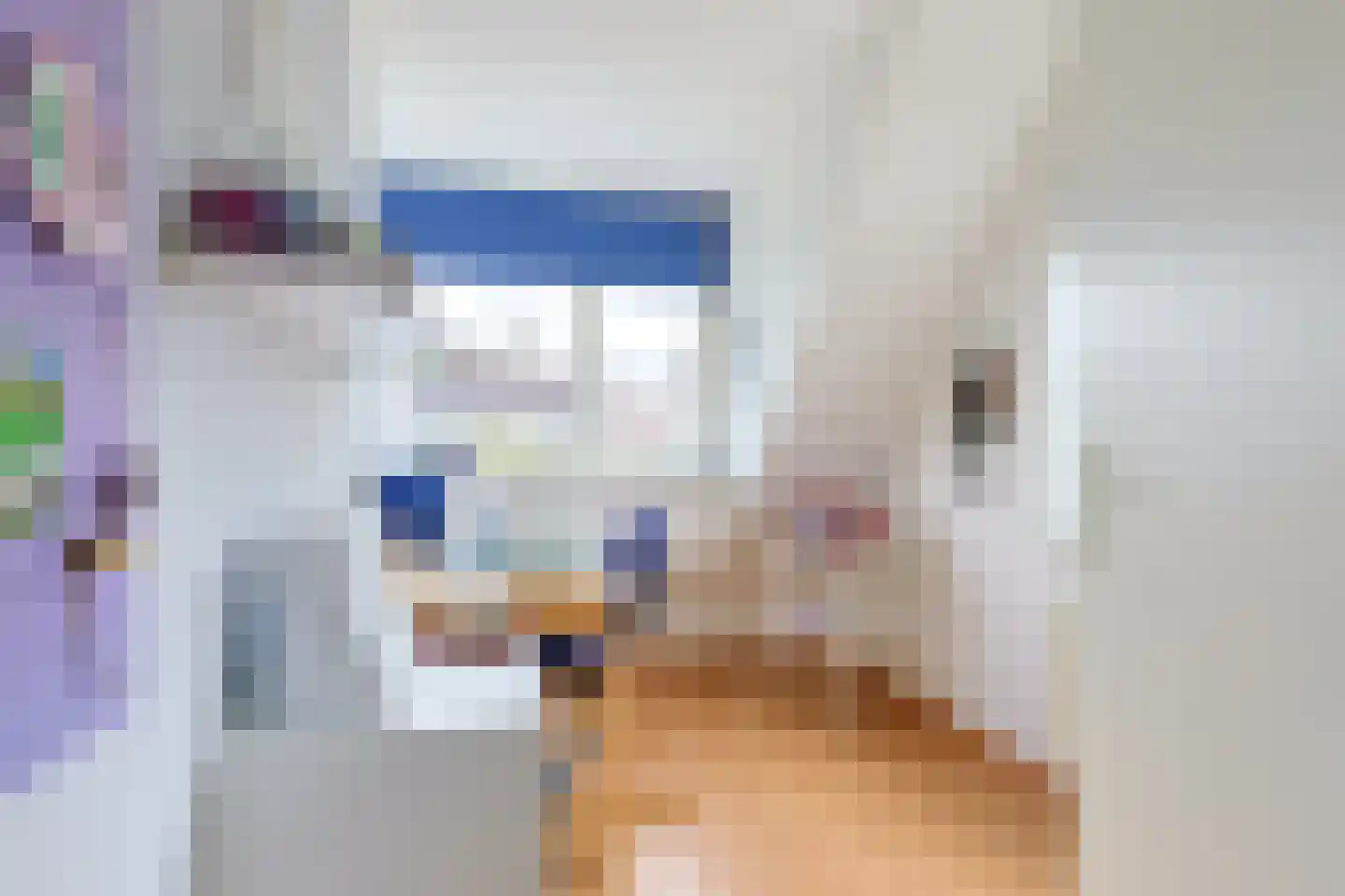 Alida de Jongstraat 19 Alphen aan den Rijn thumbnail 31