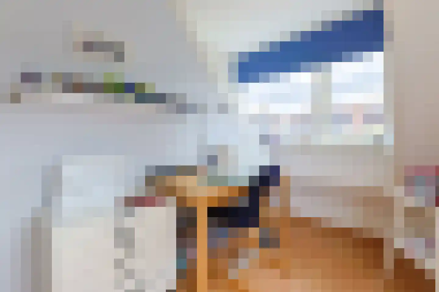 Alida de Jongstraat 19 Alphen aan den Rijn thumbnail 32
