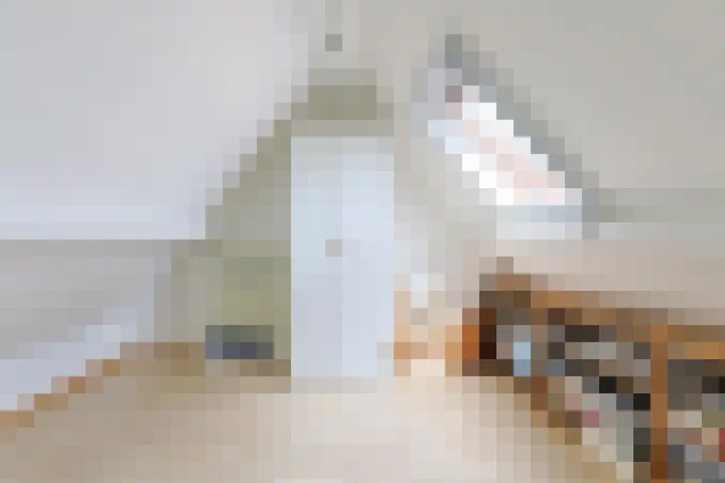 Alida de Jongstraat 19 Alphen aan den Rijn thumbnail 39