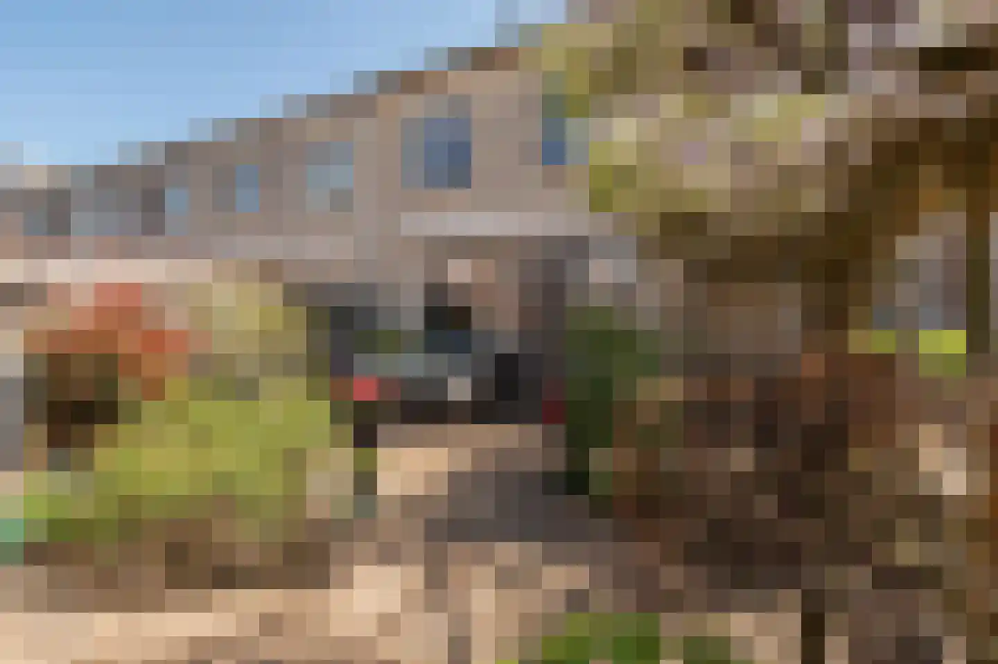 Alida de Jongstraat 19 Culemborg thumbnail 17