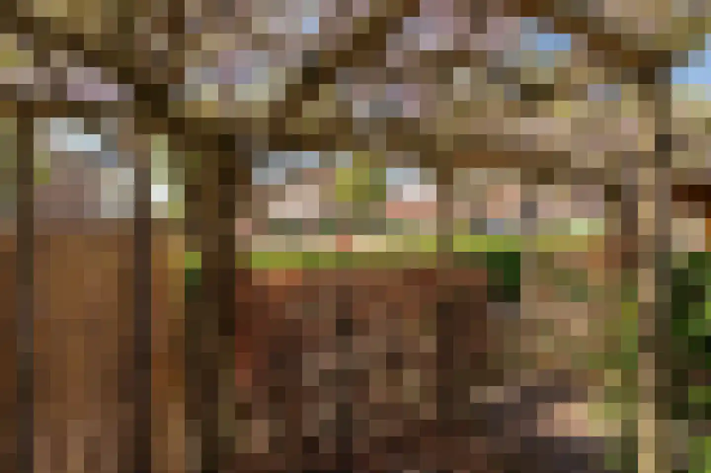 Alida de Jongstraat 19 Culemborg thumbnail 21