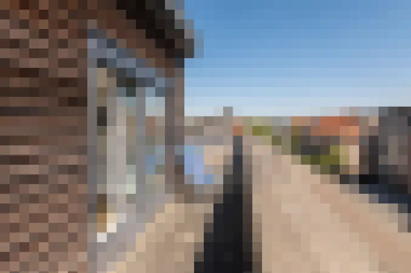 Alida de Jongstraat 19 Culemborg thumbnail 41