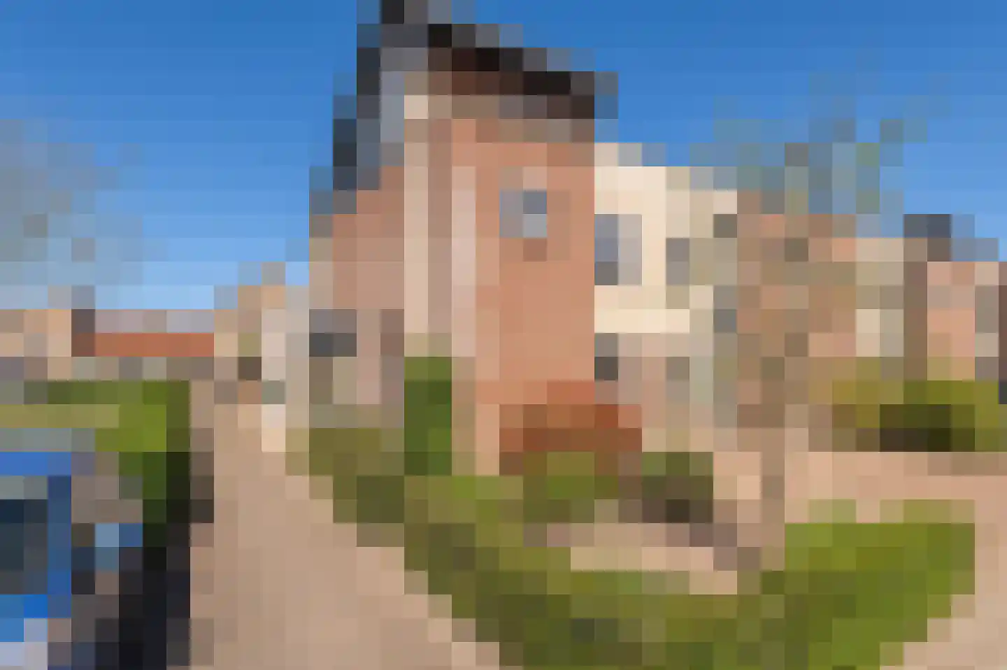 Alida de Jongstraat 19 Culemborg thumbnail 45