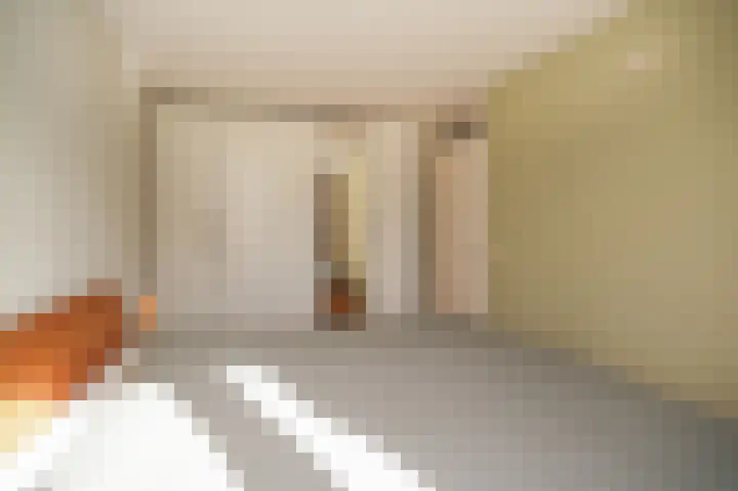 Alida de Jongstraat 34 Culemborg thumbnail 18
