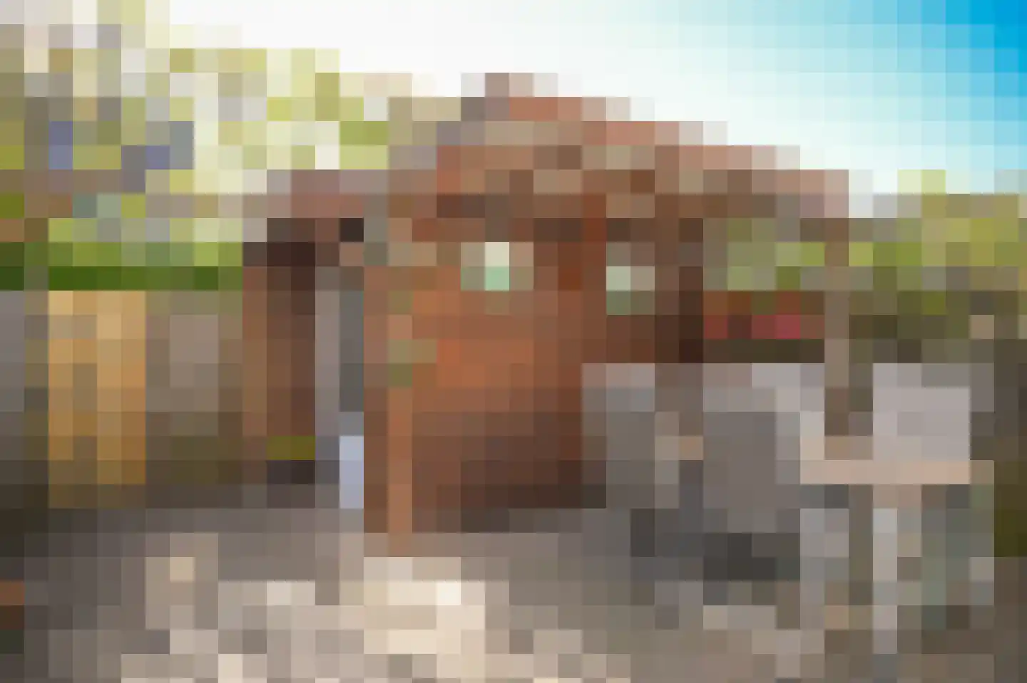 Alida de Jongstraat 34 Culemborg thumbnail 30