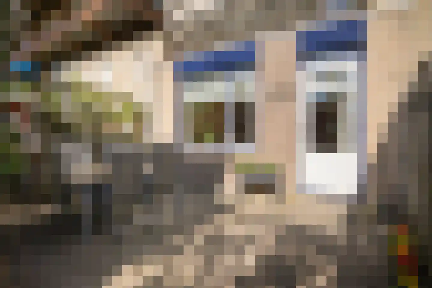 Alida de Jongstraat 34 Culemborg thumbnail 33