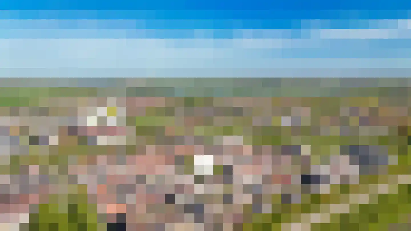 Alida de Jongstraat 34 Culemborg thumbnail 39