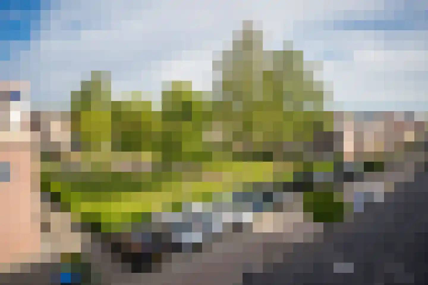 Alida de Jongstraat 34 Culemborg thumbnail 4