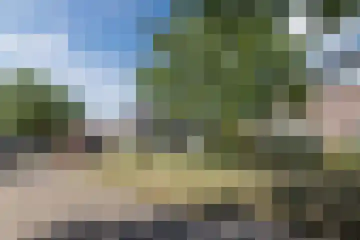 Alida de Jongstraat 34 Culemborg thumbnail 4