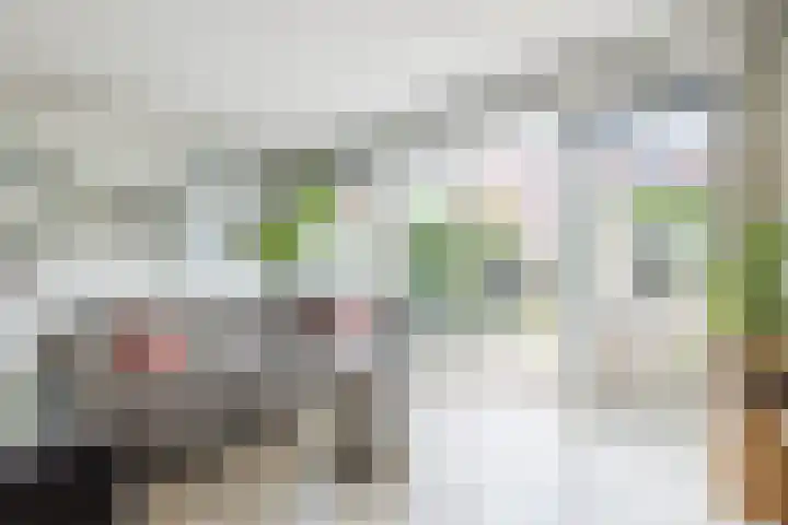 Alida de Jongstraat 35 Culemborg thumbnail 10