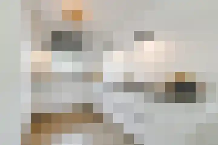 Alida de Jongstraat 35 Culemborg thumbnail 14