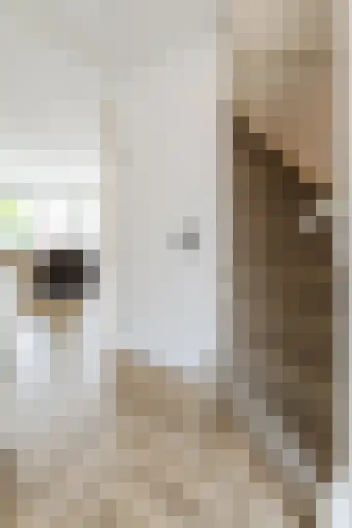 Alida de Jongstraat 35 Culemborg thumbnail 17