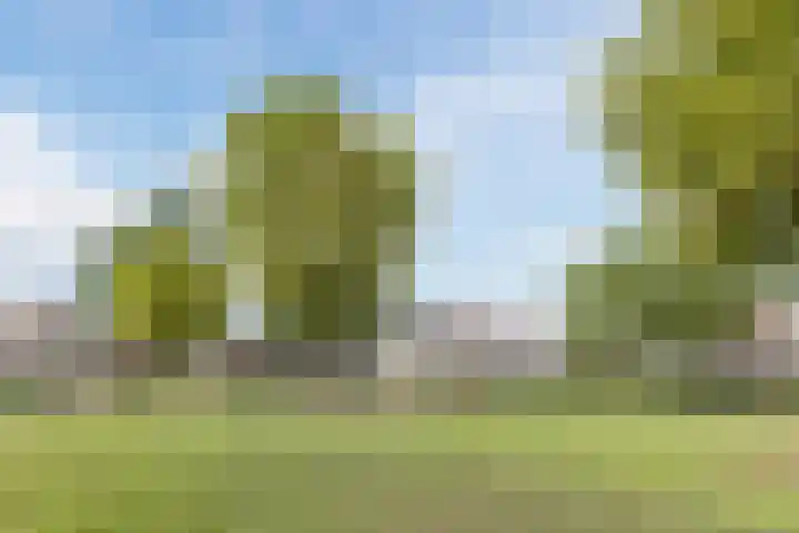 Alida de Jongstraat 35 Culemborg thumbnail 32