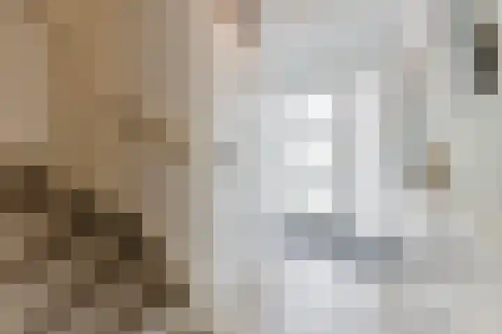 Alida de Jongstraat 35 Culemborg thumbnail 6