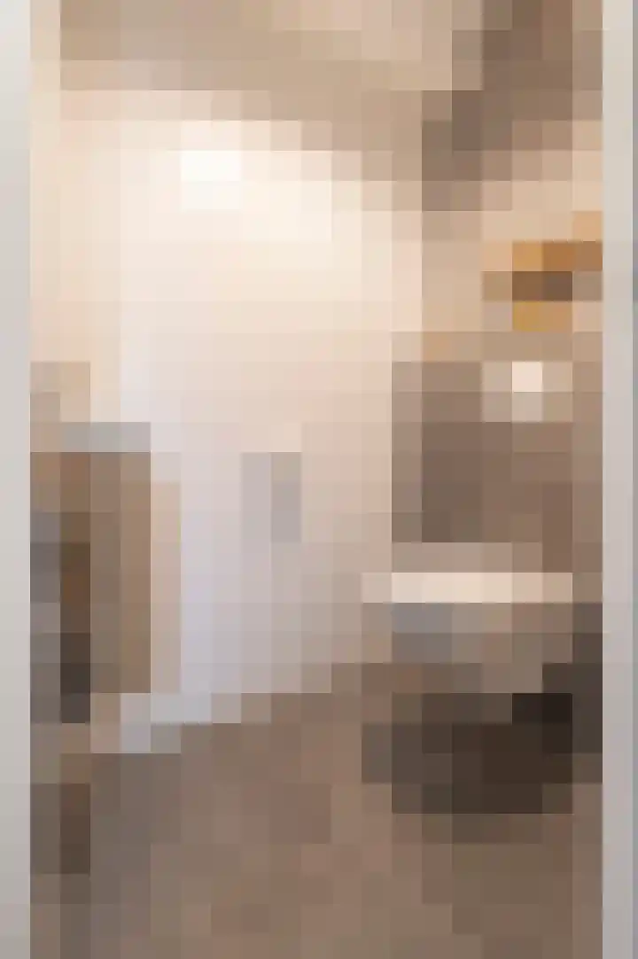 Alida de Jongstraat 38 Culemborg thumbnail 19